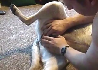 Fantastic teasing for a very kinky pooch