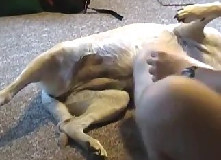 Fantastic teasing for a very kinky pooch