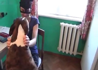 Dog is begging for hardcore sex