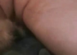 Close-up action with a hung zoophile