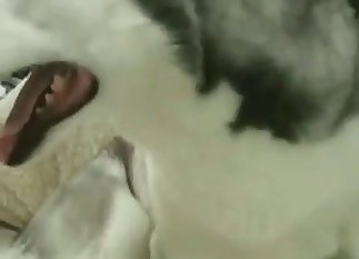 Sexy animal enjoying rough sex