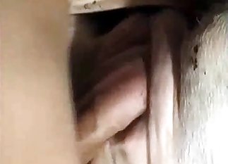 Fucking a nice cow in doggy style pose