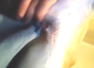 Nice creamy cock docking with a zoophile