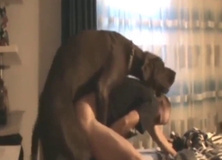 Deranged zoophile taking a dog's cock from behind