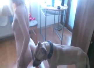 Bestiality porn shows a skinny gal sucking her dog