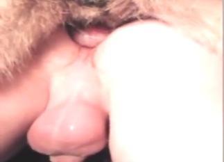 Best anal movie with a Shep fucking a tight ass