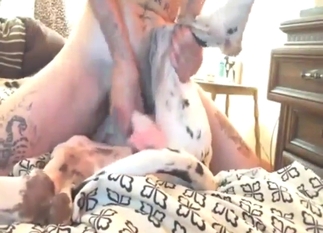 He was trying to enjoy gay sex with Dane dog