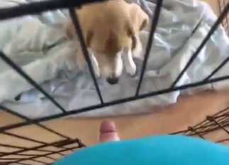 Behind bars zoophile porn with a nice dick lick