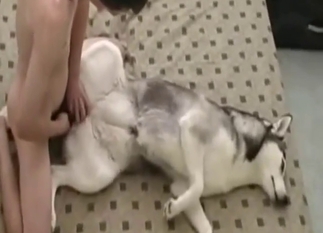 Dude buttering up that dog pussy before sex