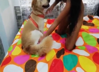 Dog's cock is going to make her scream too