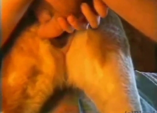 Guy fucks furry beast in mish and on all fours