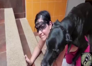 Bestiality porn shows a good-looking dog fucker