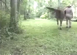 Steamy blowjob porn with a bunch of hot oral