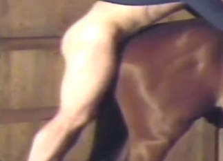 Zoophilic fuck scene with an animal just taking it