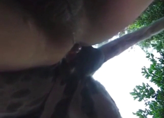 Dog knot zoo porn with doggystyle fucking