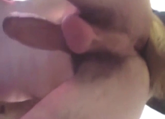 Tight-assed zoophile takes that dick in that ass