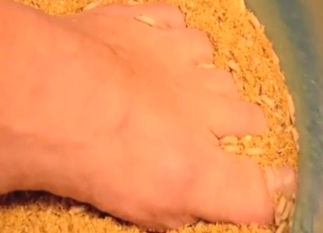 Maggot zoo porn mixed with real foot fetish