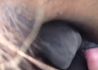 Zoophile dude with a nice penis is going to GAPE