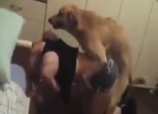 Zoo porn with a dog-loving coed who cums