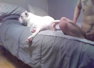 Zoophile guy warms this dog up to the idea of sex