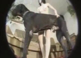 Zoophile porn looks great with a hot brunette