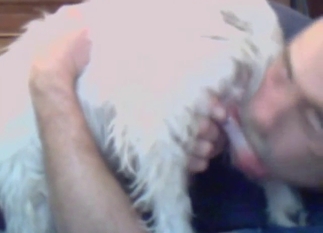 Zoo XXX shows a bald-headed guy sucking dog