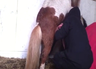 Guy shows that he can be slutty sucker for ponies