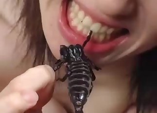 Cute hottie is enjoying tasty insects