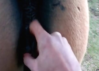 Strong horse is getting fucked hard