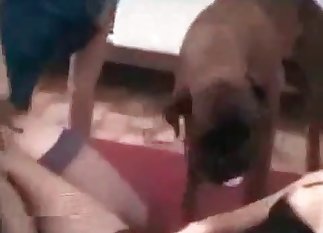 Doggy and slowly masturbating bitch