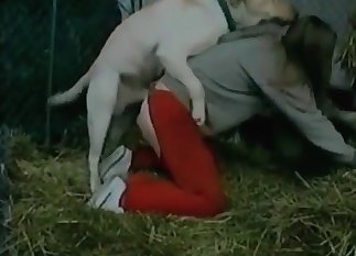 Amazing doggy adores dirty sex
