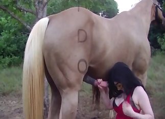 Awesome brunette likes her trained beast