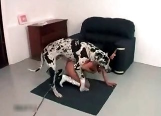 Tight slit for a Dalmatian