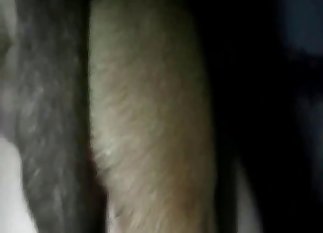 Big hound is enjoying a wild fuck