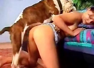 Pussy-licking by a skillful dog